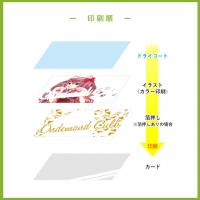 【お急ぎプラン】2営業日発送　半透明カード(ポストカード/0.188㎜厚)